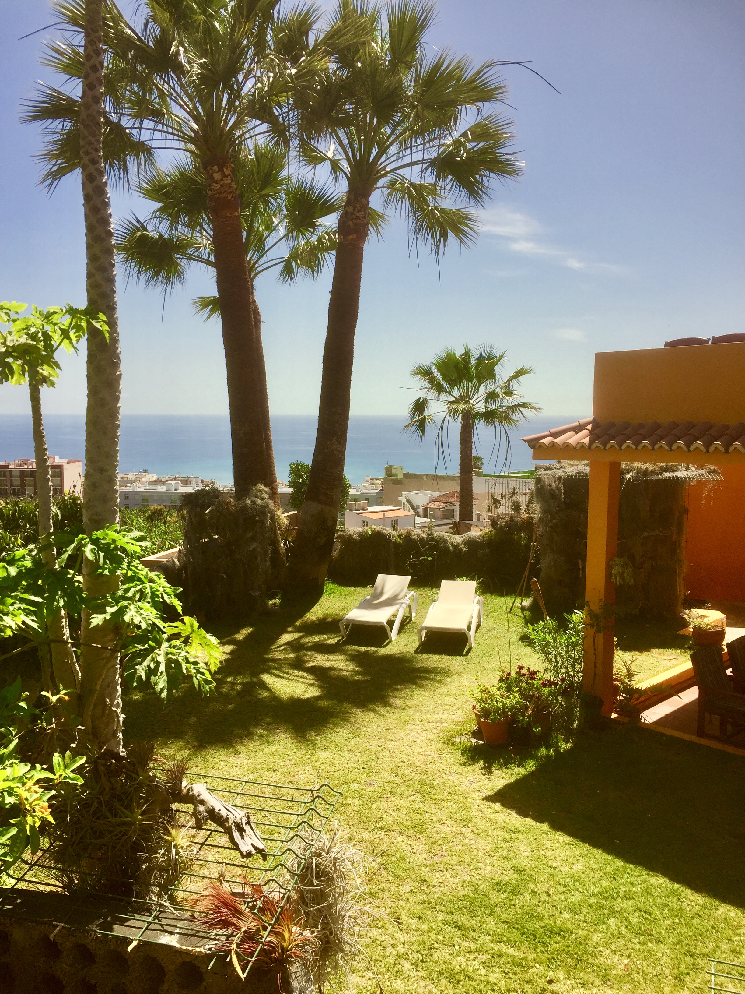 Casa Cardon La Palma