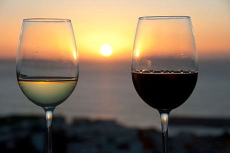 Casa Cardon La Palma